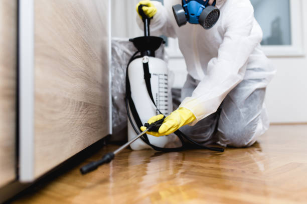 Best Termite Control Services  in Hauser, ID