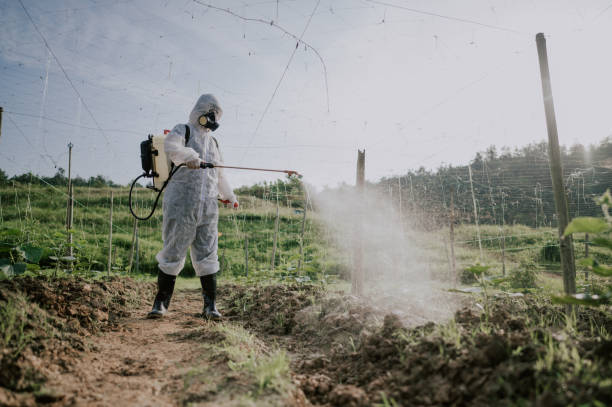 Best Affordable Pest Control Services  in Hauser, ID