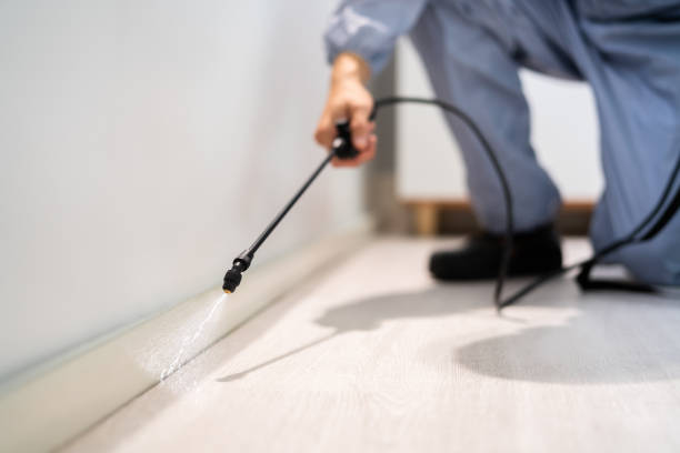 Best Pest Removal Services  in Hauser, ID