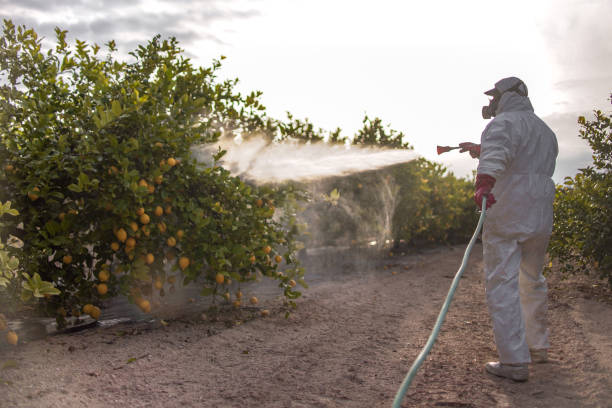 Best Pest Control Near Me in Hauser, ID