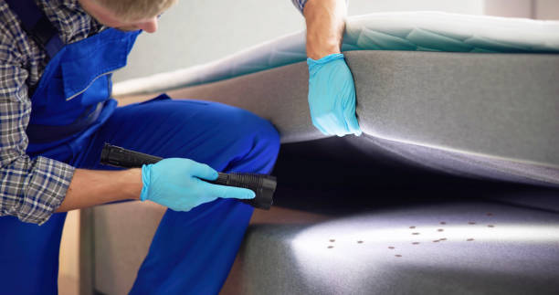 Wasp Removal Services in Hauser, ID